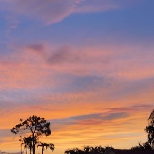 Meet your Posher, Lin